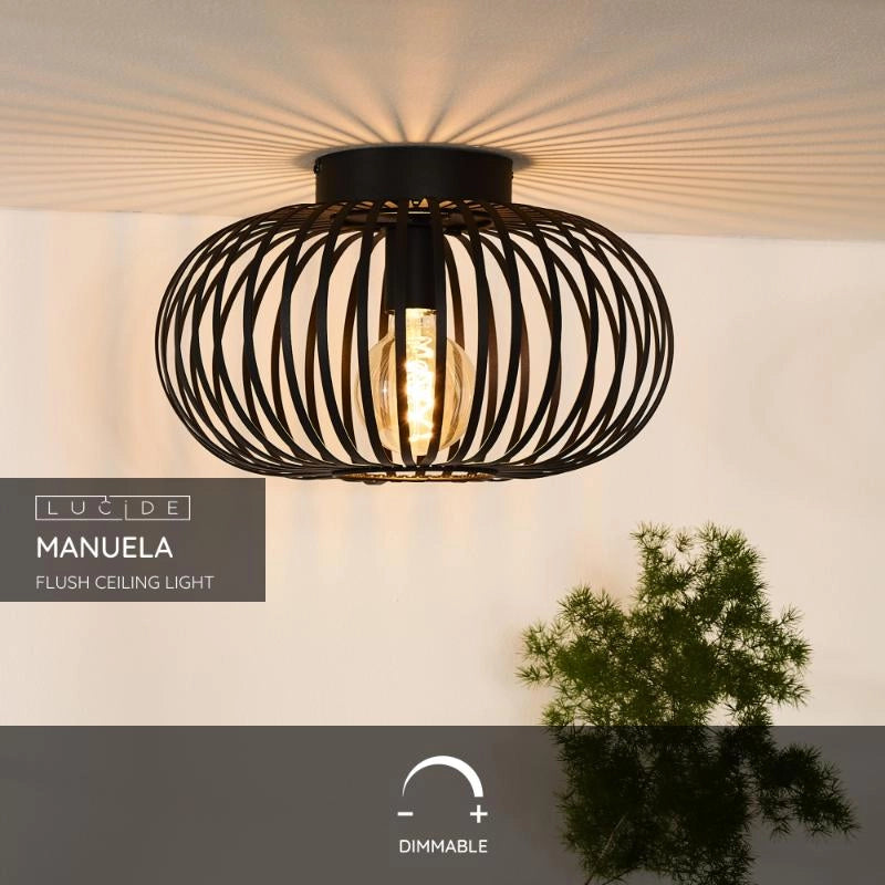 Lucide Shade Ceiling Light